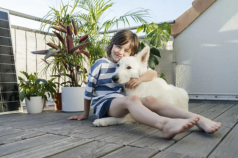MATEK PDB-HEX 2-12S 5A 5V/9V/1 - Drone Power Distribution Board のレビューと価格